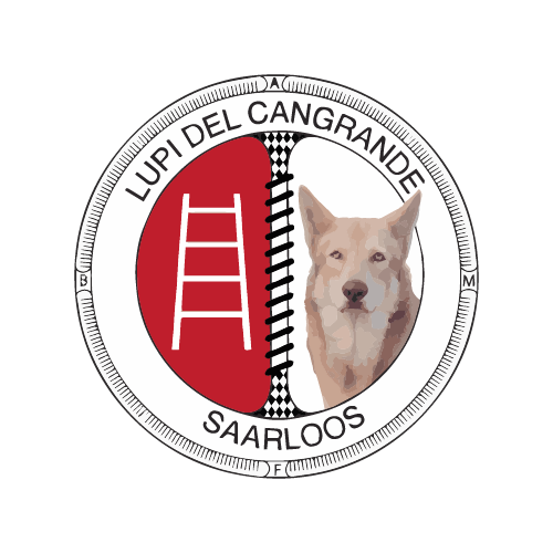 Lupi del cangrande
